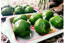 清明時節(jié)吃什么美食?全國各地18種清明美食大集合(多圖)